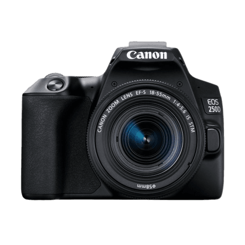 categoryImage